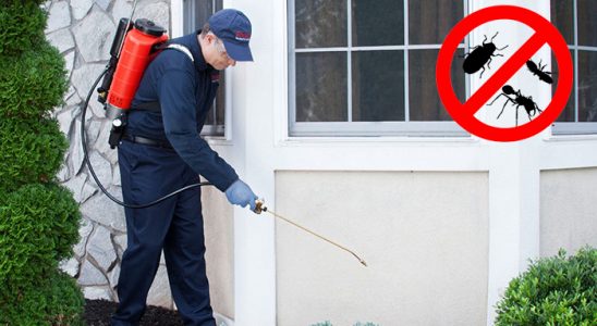 Kaynaklar Fare İlaçlama böcek ilaçlama ve haşere kontrolü — ilaclama-tr.com